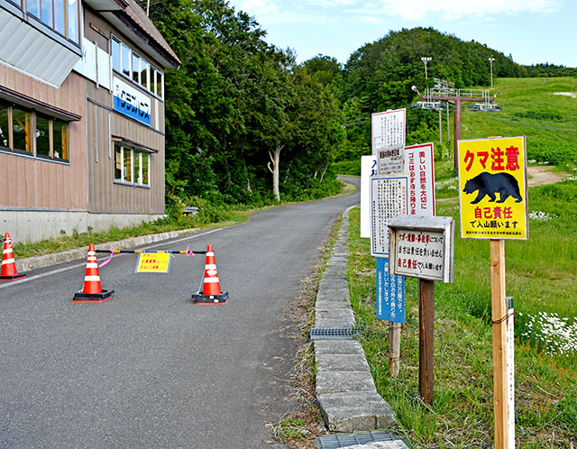 Seorang pria diserang beruang saat jogging di Gifu dan menderita luka ringan